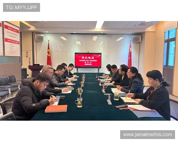 了解凯发集团旗下公司业务布局与未来发展战略的详细解读